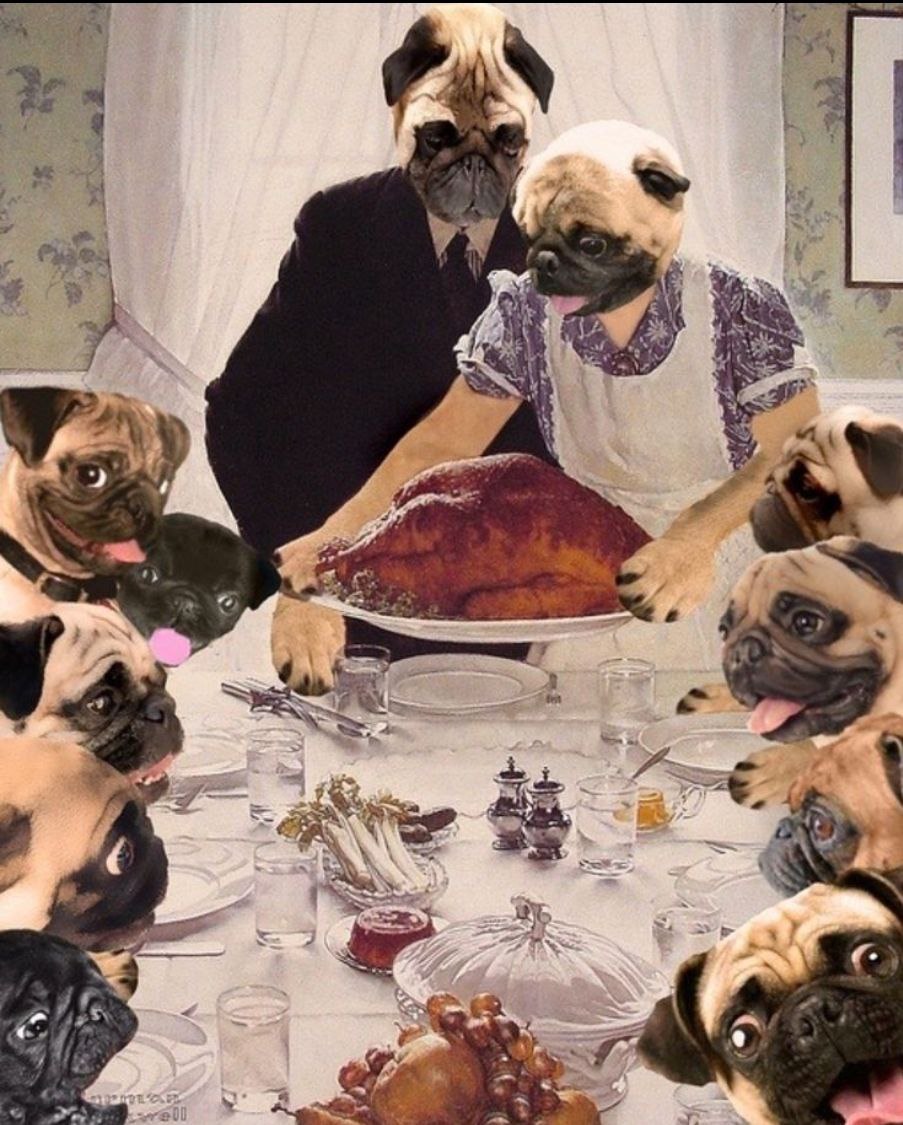 DoubleDog tweet media