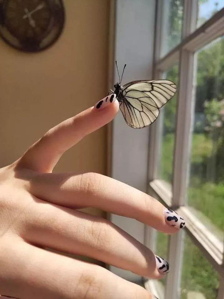🤍🦋