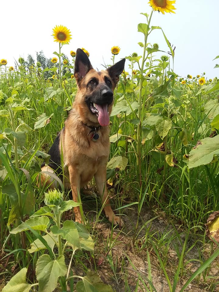 Anna Marie Bair tweet media