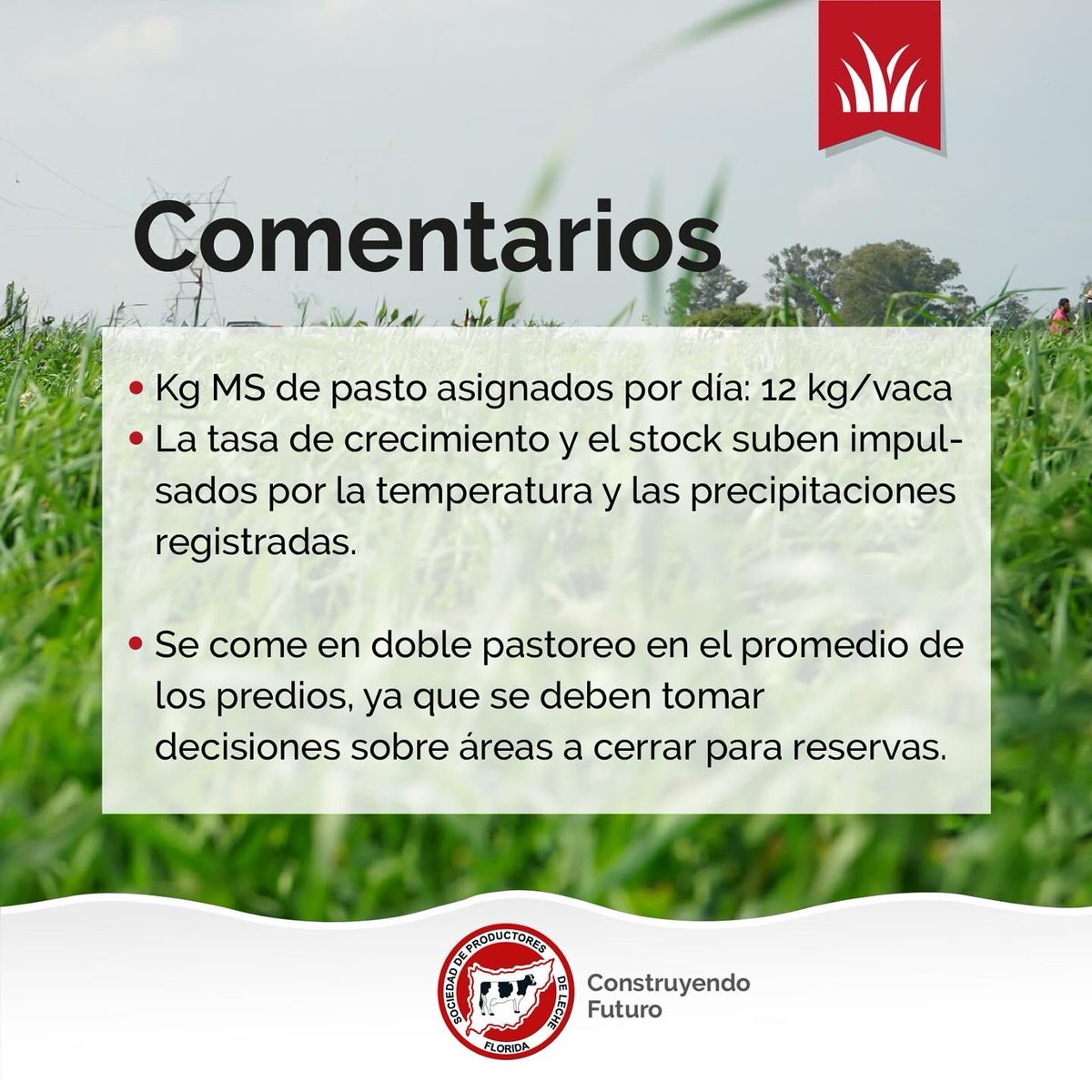 _splf's tweet photo. Info #planverde
Gestión del pasto 🌱
🗓️ 06/09 al 20/09
#splf #servicios #planverde #propasto https://t.co/zmkWxZ1lBp