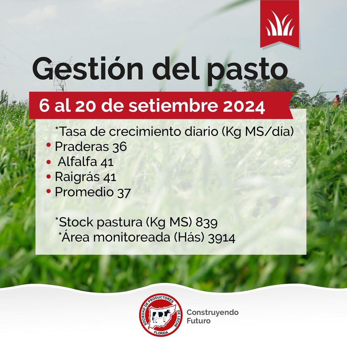 _splf's tweet photo. Info #planverde
Gestión del pasto 🌱
🗓️ 06/09 al 20/09
#splf #servicios #planverde #propasto https://t.co/zmkWxZ1lBp