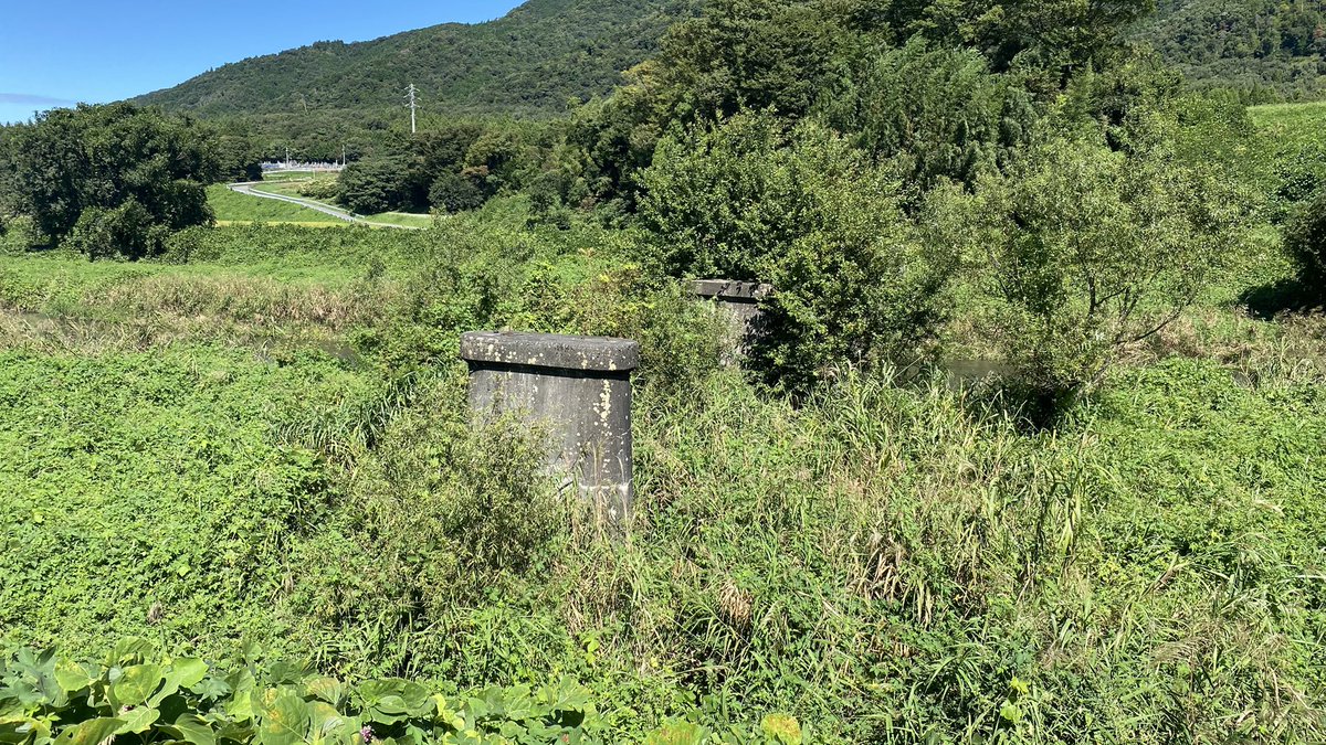Hameln_game's tweet photo. 名前が全くわからん。
そういう君が好きだ。 https://t.co/U7IGhnWuHV