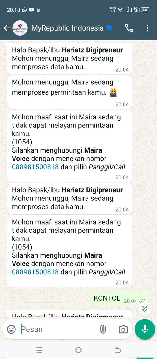 harietz al-ayyubi tweet media