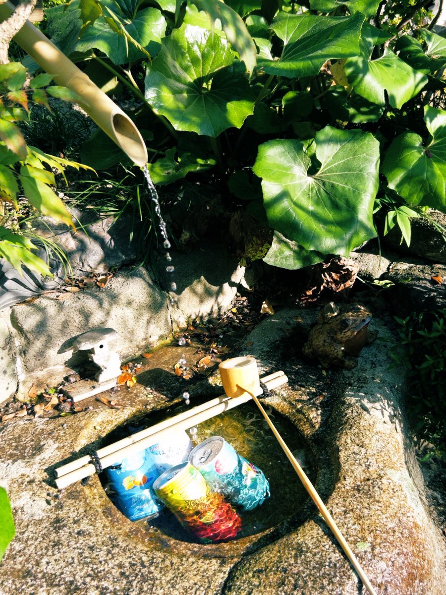 eisuke_among's tweet photo. 今年の夏の思い出 https://t.co/G8vopCekv5