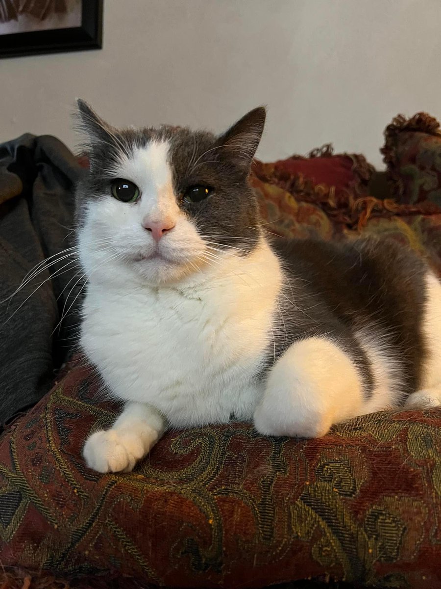 Dr Greg VR tweet media