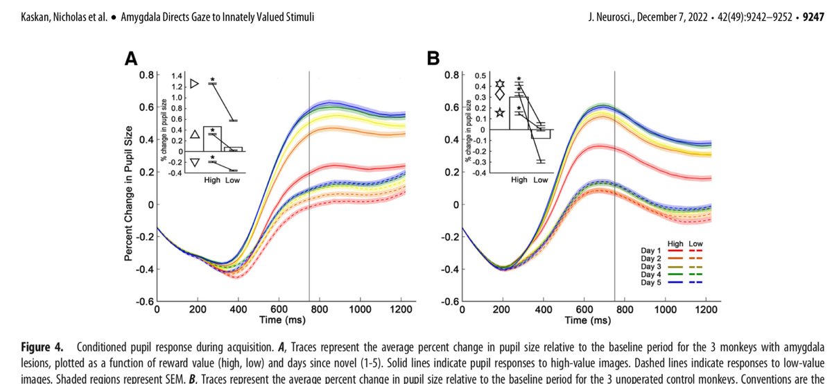 Mark A Nicholas tweet media