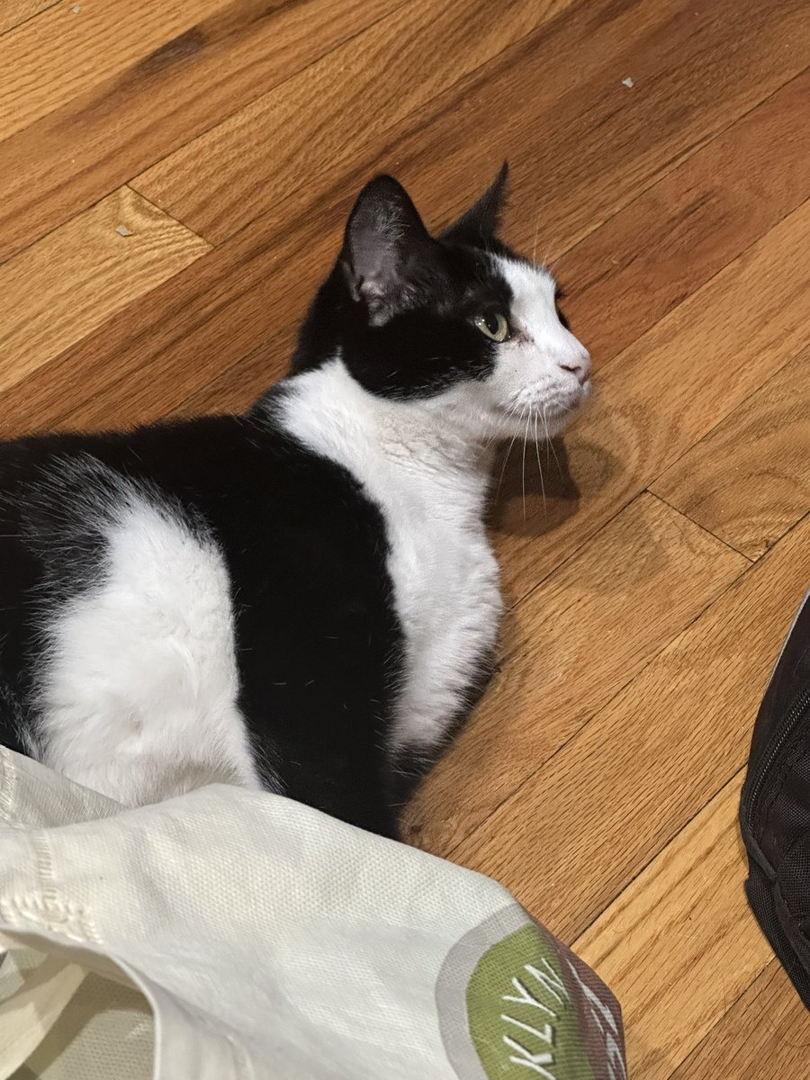 Jeffrey Betts tweet media