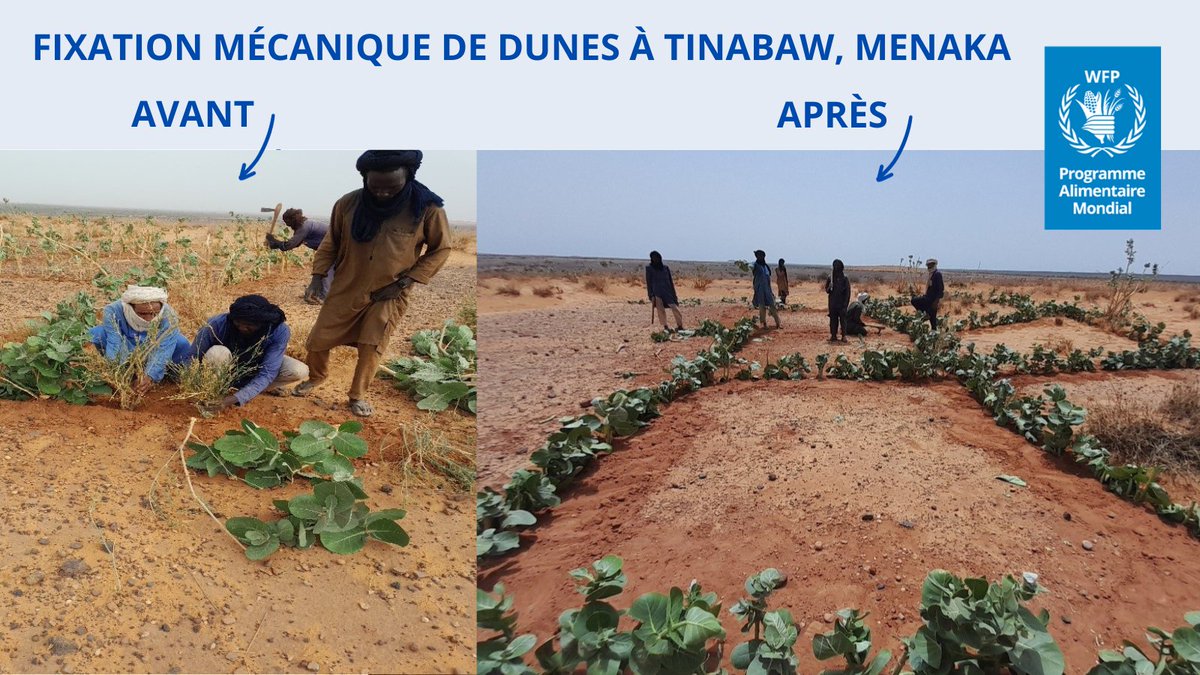 WFP_Mali's tweet photo. #ConnaissezVous le Projet de Réponse à l’insécurité alimentaire et nutritionnelle en situation de pandémie de la COVID19 (#PROSAN) réalisé, grâce au soutien de @DevCanada? Des milliers de personnes à #Kayes, #Mopti, #Tombouctou & #Gao 🇲🇱ont pu renforcer leurs moyens d’existence👇 https://t.co/S53mboj8Nr