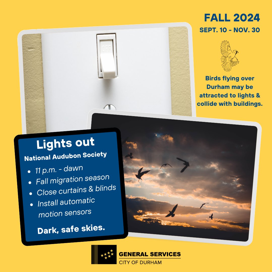 #LightsOut, Bull City! 🌃
 
Migrating birds may be attracted to lights and possibly collide with buildings at night.
 
Our staff will ensure lights are off overnight inside most City buildings to help create darker, safer skies.
 
Follow <a href="/AudubonNC/">Audubon North Carolina</a> for ways you can help.