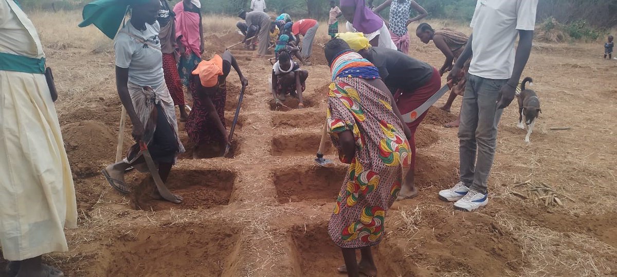 AcmeKenya's tweet image. The Climate Smart Agricultural Practices training took place last week in Lokichoggio with participants taken through concepts on climate smart agriculture.@CBCResilience #crossborderresilience @Ijackaa
