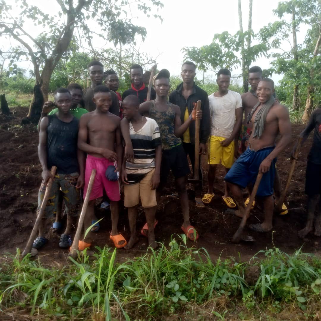 Community Youth for Peace &amp; Dev in Rosortha #KareneneDist has cultivated acres of cassava, groundnut, &amp; beans to fund the construction of a community hall. "This is our first project, &amp; we're determined to work together with the VCs to develop our community”, says Chairman Kargbo
