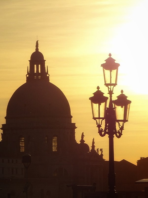 Leah Figs (@leahfigs) on Twitter photo 