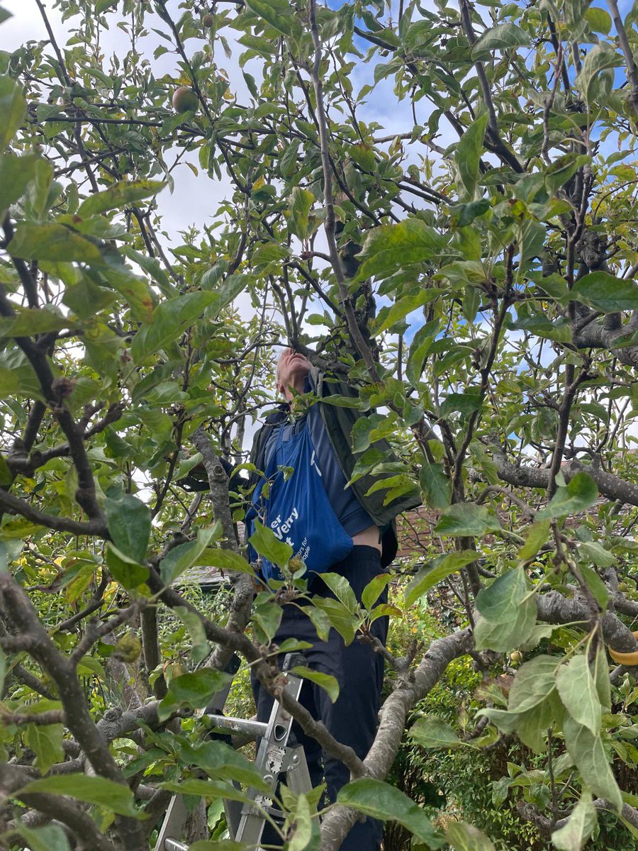 🍎 Our kind annual donor, Barbara, in Rathgar, provided eating apples &amp; cooking apples for charity. The A team - Celeste, Ed, Deirdre, Mary, Patricia - did the harvesting and Patricia and Ed took care of the deliveries to D8 &amp; D9. Deeply grateful to all concerned 🍎💚🍎