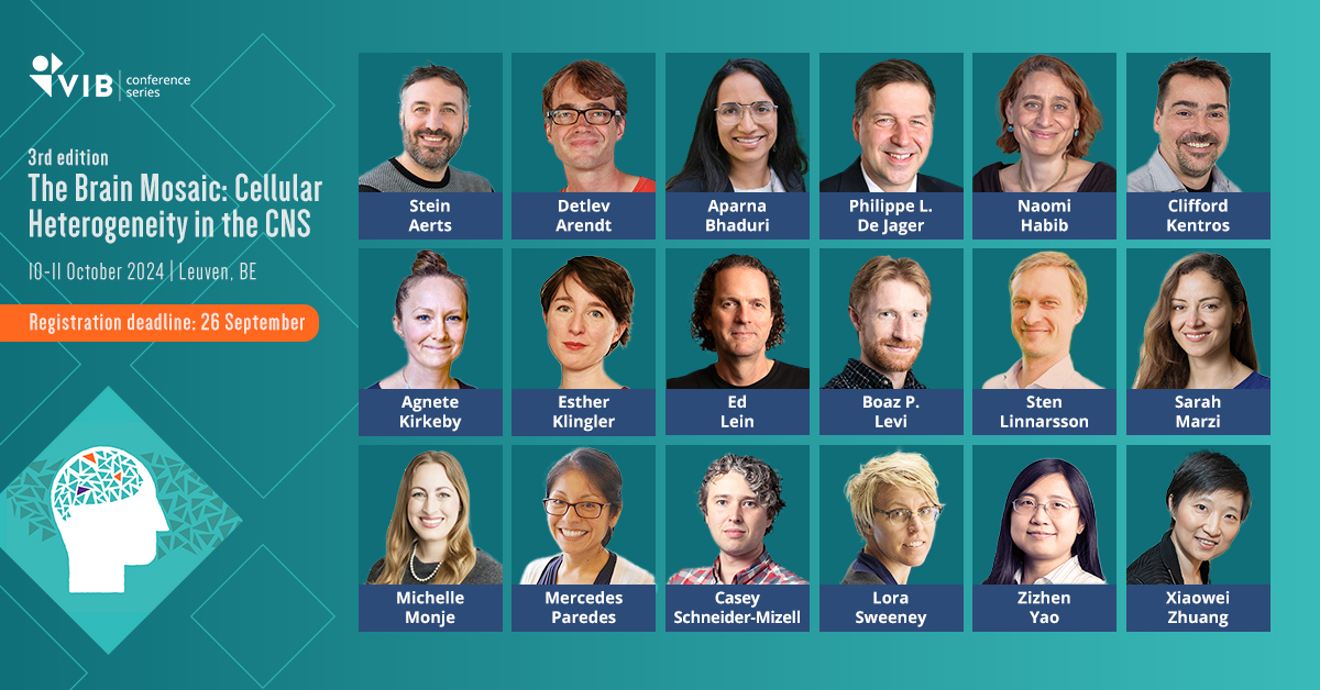 Last chance to join #BrainMosaic24! Hear from 19 experts on #neurodevelopment, #neurodegeneration, computational analysis, and #brainevolution. Explore the latest tools shaping #neuroscience.
📅Deadline: 26 September
⏩Register here: vibbio.tech/4ekzb3x