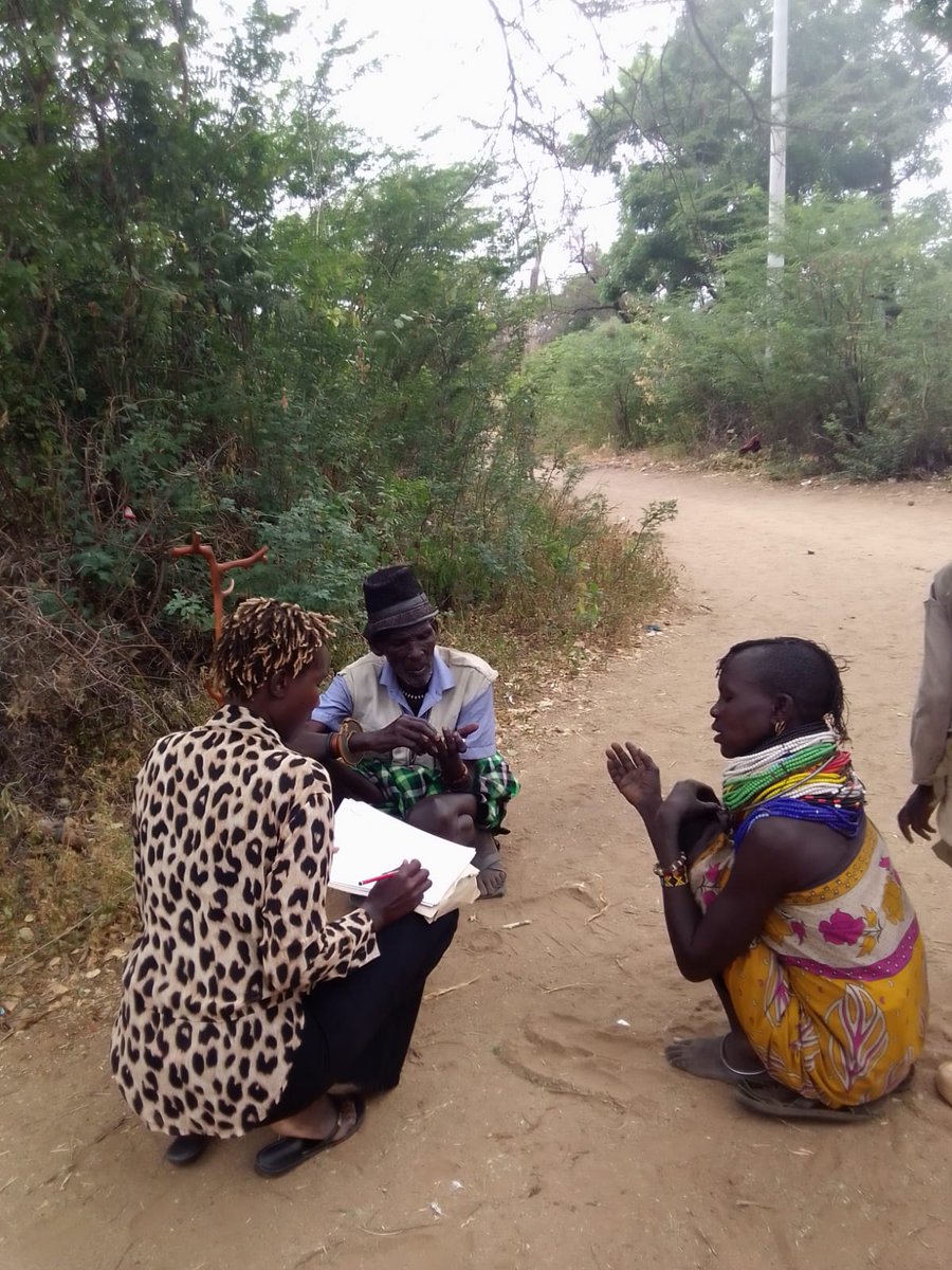 AcmeKenya's tweet image. Market assessment for the livestock market in Lokichoggio took place at the closure of the Climary Smart Agricultural Practices  (CSAP). The assessment targeted buyers, sellers and middlemen accessing the market. @Ijackaa @apadlodwar @CBCResilience @SAPCONE @NOmwolo