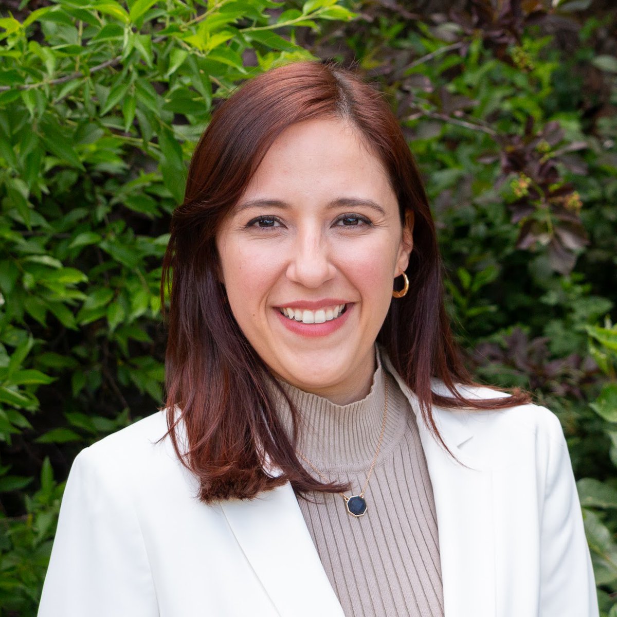 American Meteorological Society tweet media