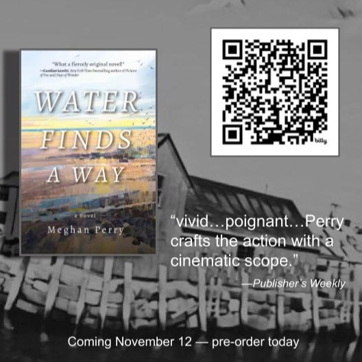 A "Fall Read Pick" from Newsday 𝙒𝘼𝙏𝙀𝙍 𝙁𝙄𝙉𝘿𝙎 𝘼 𝙒𝘼𝙔 from debut author Meghan Perry.
A great gift for fall &amp; second one just for yourself.

#meghanperry #bookclubreads #NewRelease #Maine #NewEngland #mainelife #friendshipfiction #friendshipfictionbooks <a href="/Newsday/">Newsday</a>