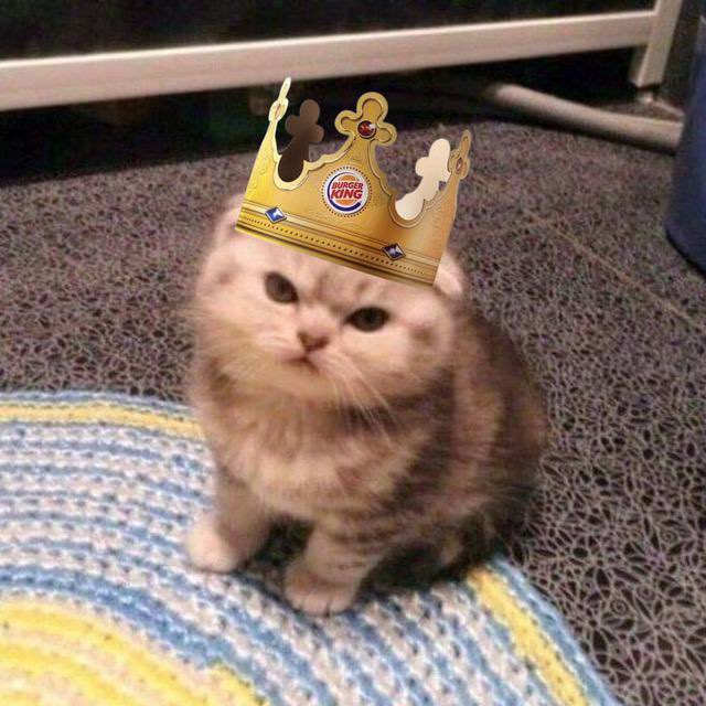 EunisChanChan's tweet photo. @barkmeta $DEMI is the sendooor today

Cute cat and great memes

https://t.co/ke6pbpm5vd

https://t.co/6vRL0LSbW3 https://t.co/sqg4jHt1Y9