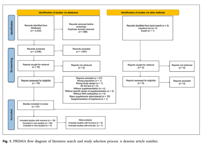 Nutrition and Dietetics | Karger tweet media