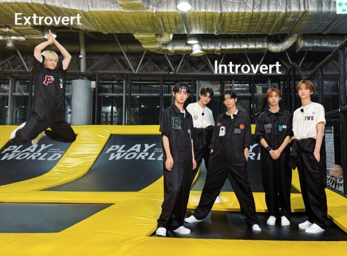 Tous! Extrovert with introvert 😆😄