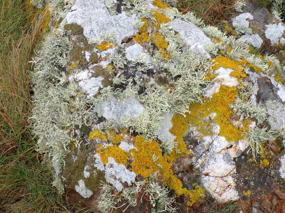 🐝🐝🐝 (@bbb01100010) on Twitter photo 