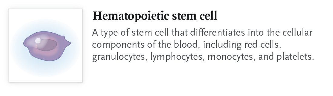 🧵 CSF1R Blockade for Refractory Chronic Graft-versus-Host Disease (GVHD): A Thread 

Severe chronic GVHD is a serious long-term complication that can occur after allogeneic hematopoietic stem-cell transplantation (HSCT). Full editorial: nej.md/3MOORQs 1/15