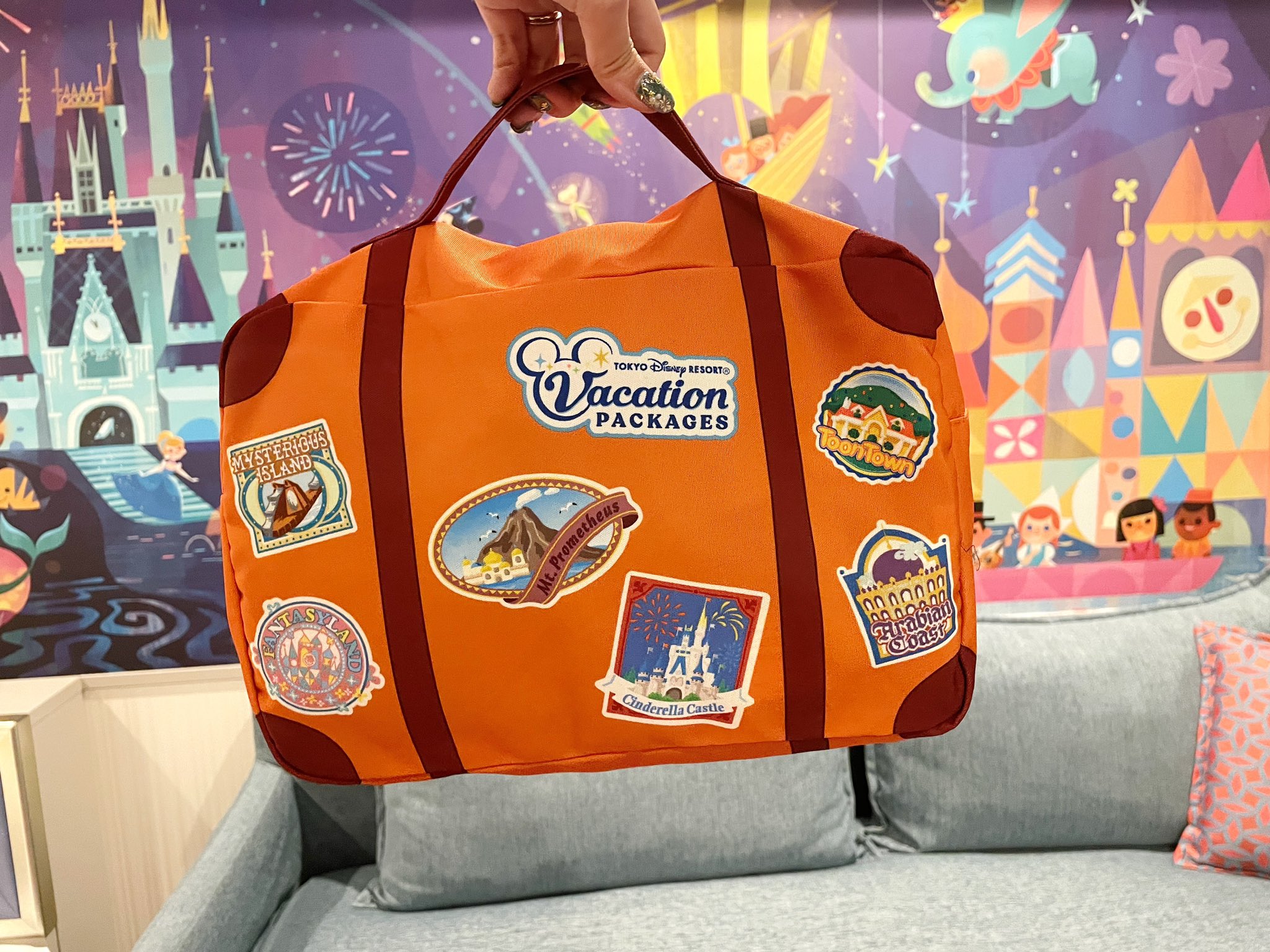 新品 ディズニー バケーションパッケージ ブランケット バケパ