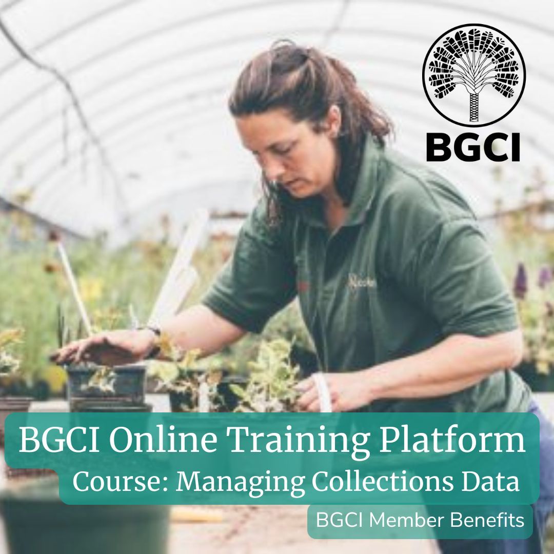 bgci's tweet photo. #DidYouKnow that BGCI Membership includes access to our online training platform?
The 'Managing Collections Data' course teaches you about the link between policy & data management.
More courses available: https://t.co/bO1EHMHUTQ
#ConservationTraining #GlobalConservationNetwork https://t.co/4Dp2jMp77K