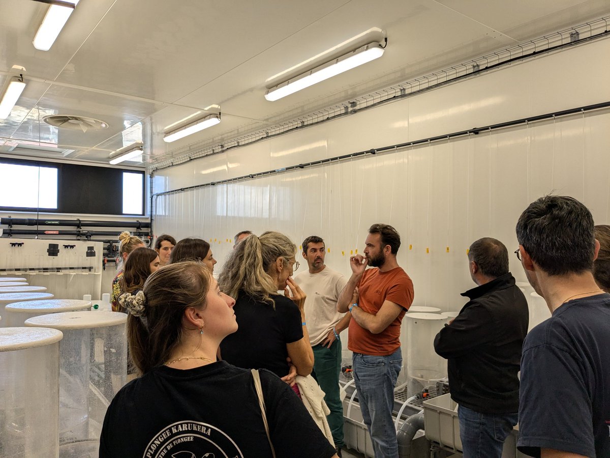 poltofresh's tweet photo. @leroilau @Ifremer_fr Visite de la salle larvaire avec ses 140 jarres de culture #RB2024 #ASIM @Ifremer_fr https://t.co/j66LfUWsvs