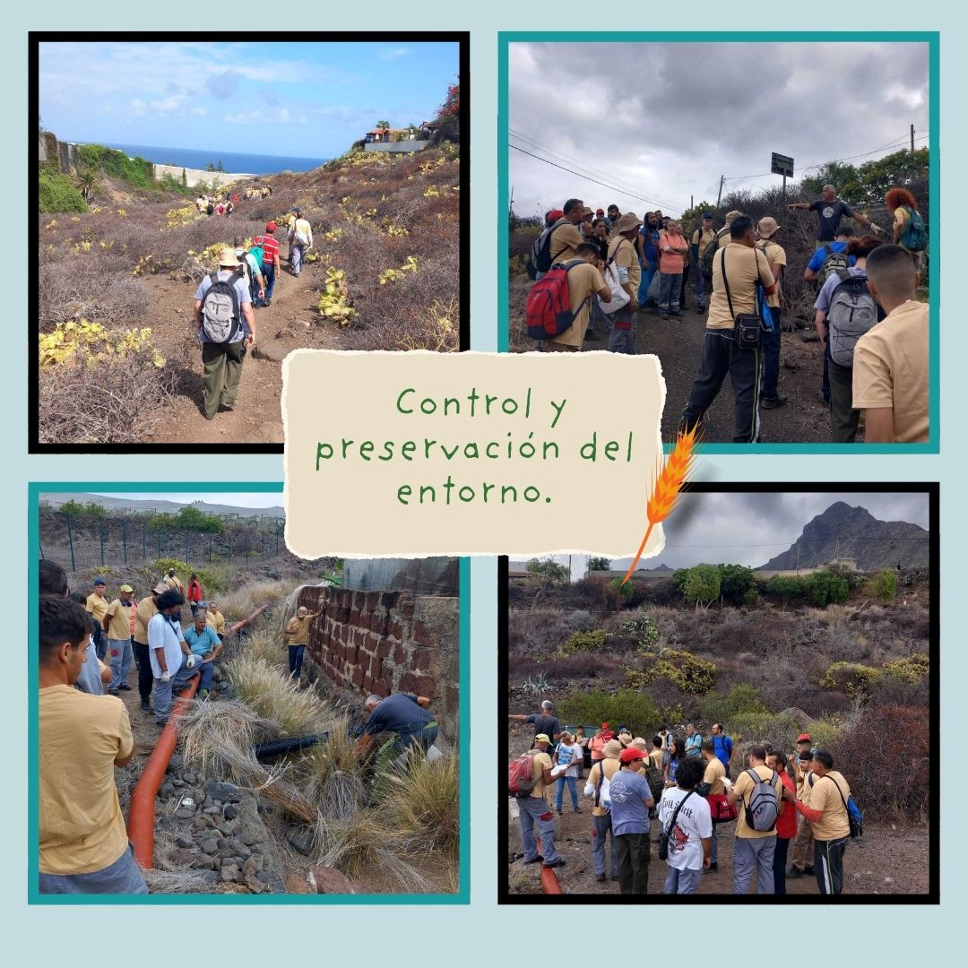 Fundación Ataretaco tweet media