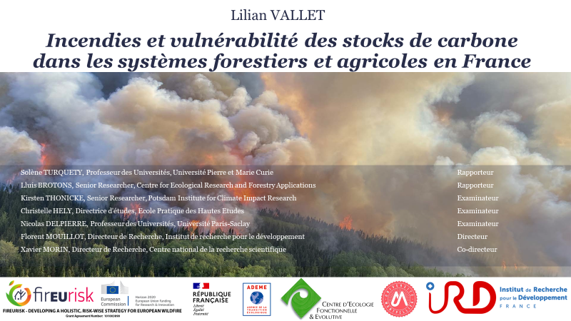 Lilian Vallet 🔥🌳 tweet media