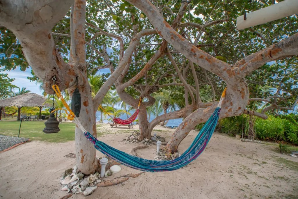 MineBeachVilla2's tweet photo. Experience the ultimate a #GrandCayman #LuxuryVilla rental! Enjoy breathtaking ocean views, upscale amenities, and a serene atmosphere for your dream vacation. #BookYourStay today at https://t.co/WonBmpWG8O
#BeachfrontEscape #TropicalParadise #IslandGetaway #VacationInStyle https://t.co/E2VRBDkjCs