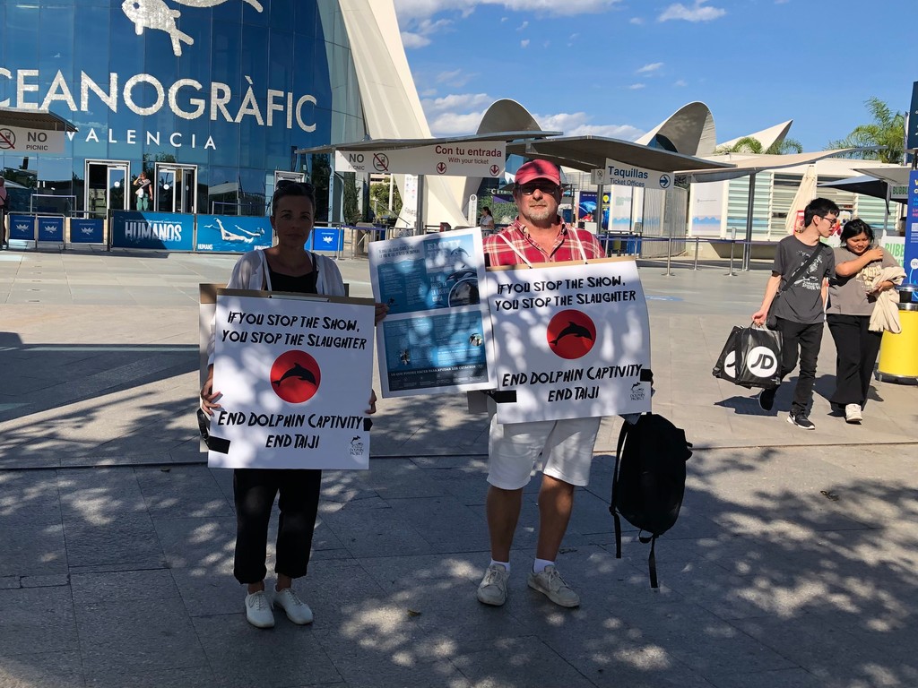 Dolphin_Project's tweet photo. THANK YOU to all who showed up and used their voices for #DolphinDefenderMonth and #JapanDolphinsDay events! ๐๐ฌ Pictured here are events in at the Japanese Embassy in Seattle, Sรฃo Paulo, Brazil, and Oceanografic in Valencia, Spain.
#DolphinProject https://t.co/Klyu8mr6ky