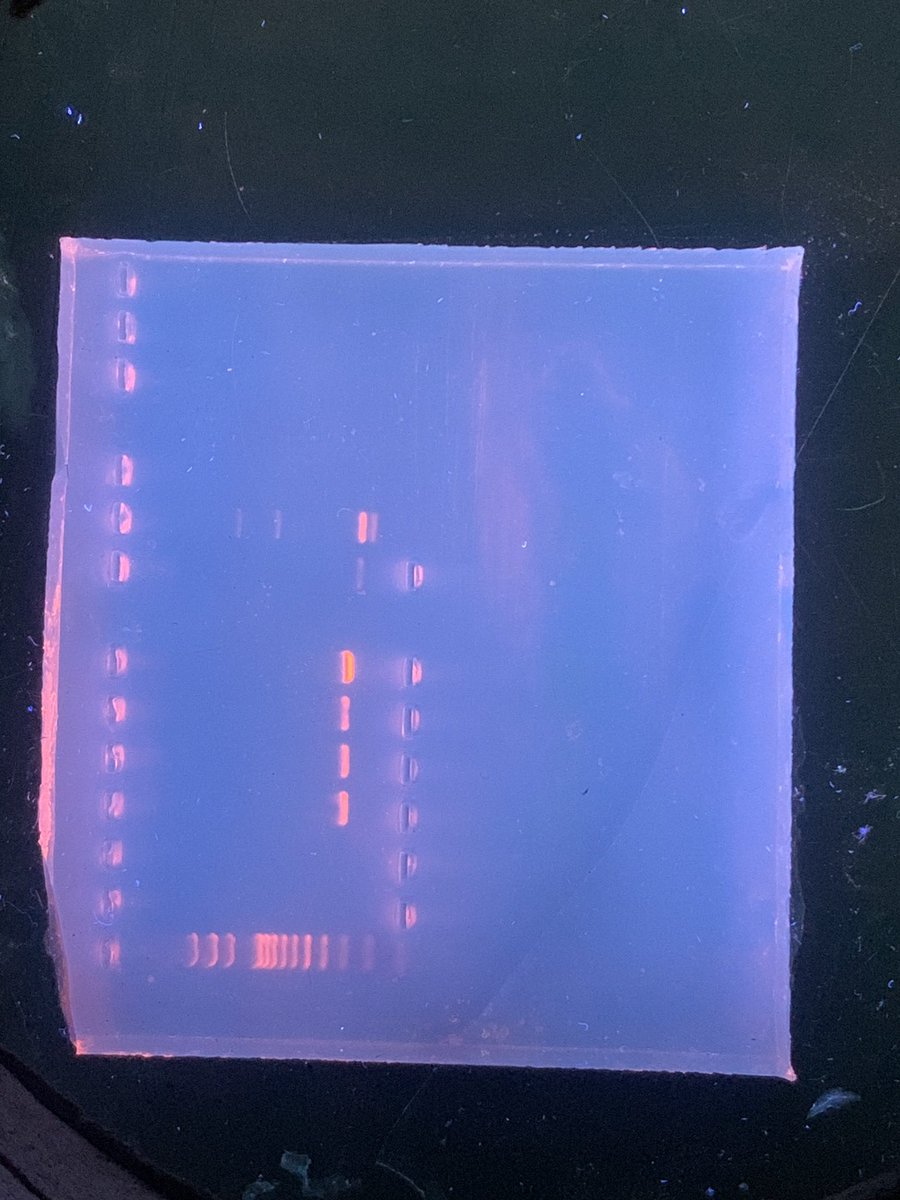 JoshuAyodele's tweet image. Almost a year already.

Rounding up this soon.

#ResearchAssistant
#MolecularNeuroscience