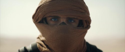 NextBestPicture's tweet image. The Next Best Picture Team currently predicts DUNE: PART TWO will be nominated for 11 Academy Awards

Picture
Director
Adapted Screenplay
Cinematography
Costume Design
Film Editing
Makeup &amp;amp; Hairstyling
Production Design
Original Score
Sound
Visual Effects

nextbestpicture.com/oscar-predicti…