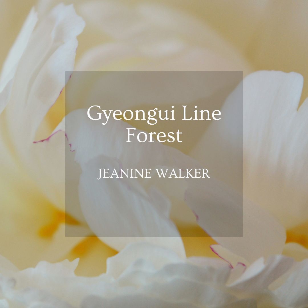 swamp pink (@swamp_pink) on Twitter photo “And they’re speaking / in the language of the common and in the language of the self.” Read Jeanine Walker’s (<a href="/jeaninemwalker/">Jeanine Walker</a> ) “Gyeongui Line Forest” and other poems today: buff.ly/3yT8GCX “And they’re speaking / in the language of the common and in the language of the self.” Read Jeanine Walker’s (<a href="/jeaninemwalker/">Jeanine Walker</a> ) “Gyeongui Line Forest” and other poems today: buff.ly/3yT8GCX