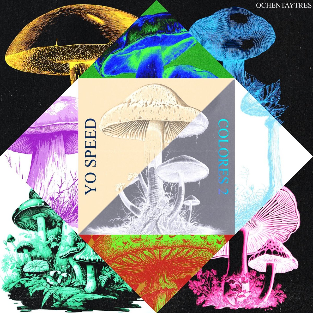 SensationmusicG's tweet image. Yo Speed, Tomy, CURLY (CH) - Colores 2 - 20 September 2024 | beats, breaks, uk garage
#YoSpeed #Tomy #CURLY #Colores2 #Album #beats #breaks #ukgarage
💳 SHOP: patreon.com/sensationmusic…