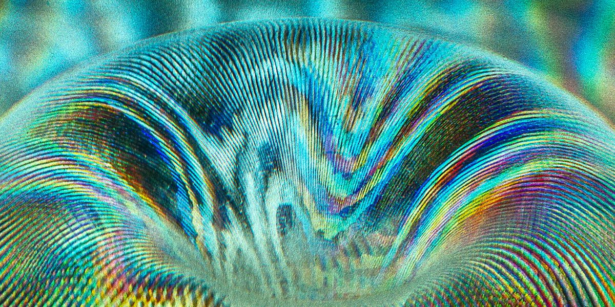 For our friends traveling through LA, visit the @gettymuseum holographic exhibition: 

SCULPTING WITH LIGHT
Contemporary Artists and Holography

New York Times calls it, “an exhibition that suggests just how significant holographic art has become.” 

buff.ly/4eDWzJf