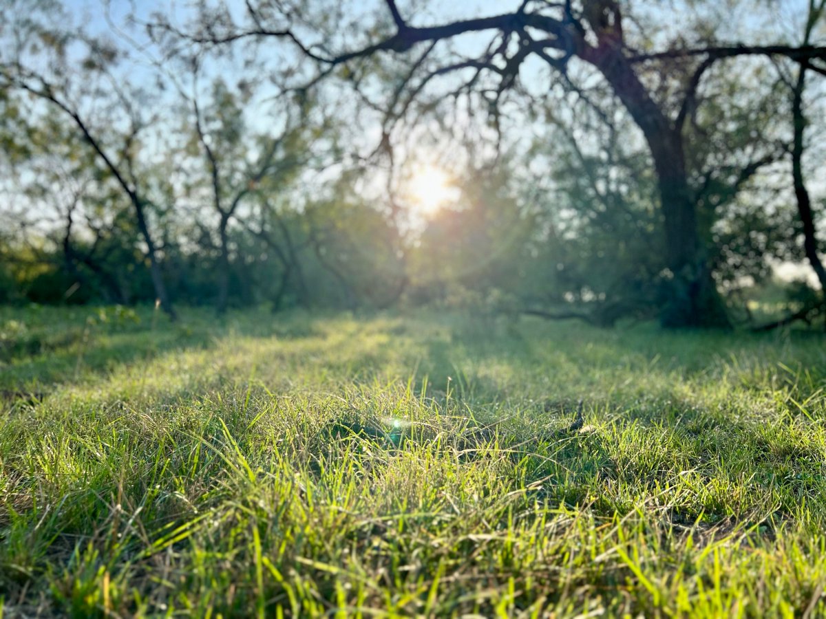llpranchland's tweet photo. New Wilson - Carlsbad Ranch photos and video are up. To see if all visit our website at Wilson - Carlsbad Ranch Lee, Lee &amp; Puckitt Associates, Inc. https://t.co/8rJBcinhZ1 https://t.co/Ci2Aw1B4zm