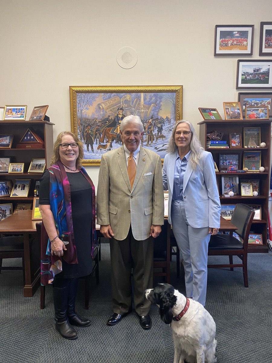 Megan Bradley tweet media