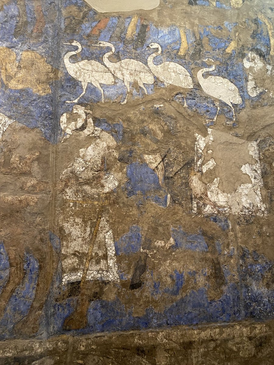 Martha Kearney tweet media