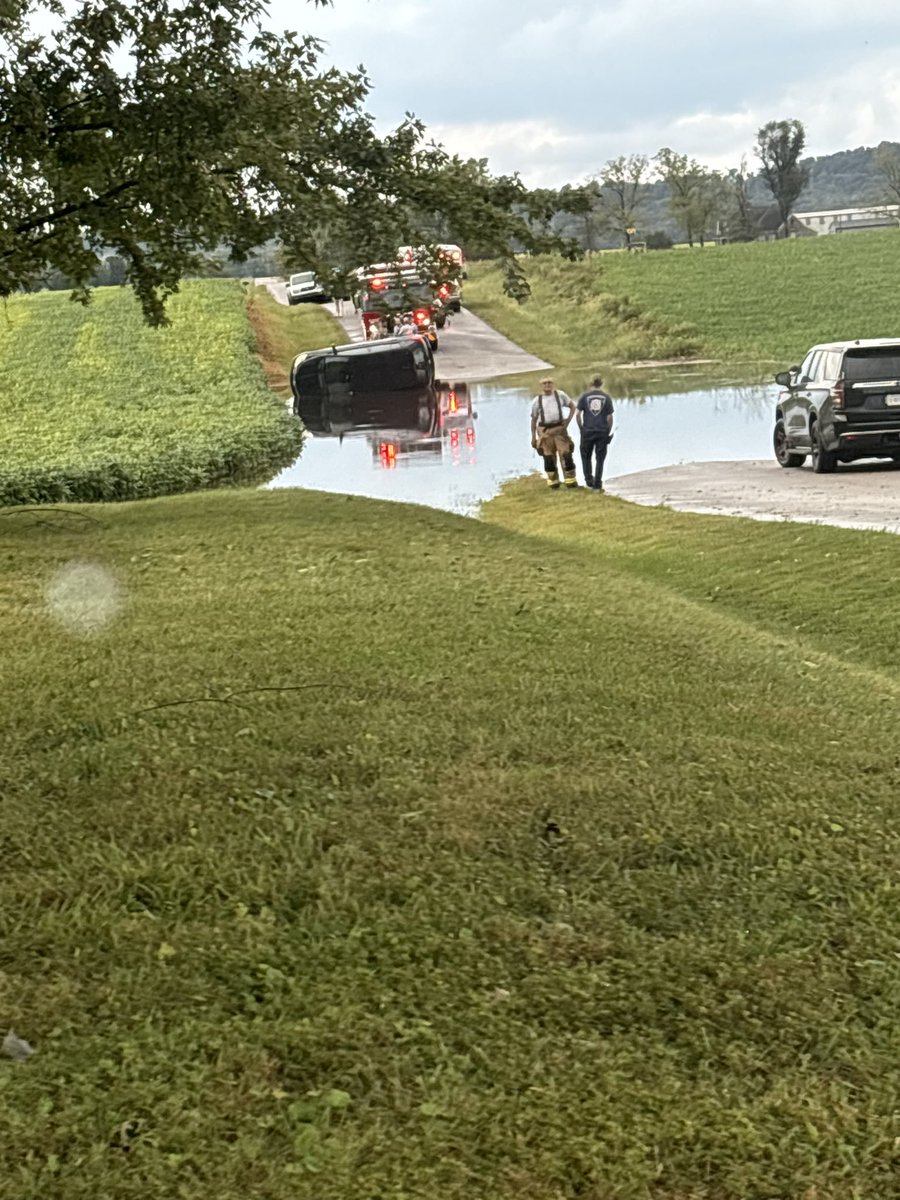 AdamRich82's tweet image. 