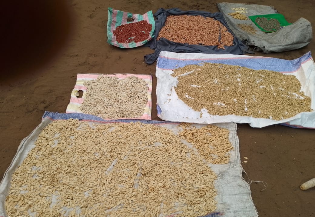 acprdcongo's tweet photo. #RDC : la deuxième phase du projet d'accompagnement des femmes dans l’#agroécologie a été lancée mardi au village de #Mabaka, dans le territoire de #Kenge, province du #Kwango, dans le sud-ouest de la République démocratique du Congo, par l’Association droits de la femme et environnement sain (#DFES-#ASBL) afin de lutter contre la malnutrition à travers un champ communautaire pour les femmes. "Ce projet poursuit deux objectifs généraux, notamment la lutte contre la malnutrition et les changements climatiques,en combinant les cultures vivrières avec les arbres fruitiers et les arbres à croissance rapide, tels que les acacias", a déclaré Pascaline Musinga, coordonnatrice nationale de l’association Droits de la femme et environnement sain (DFES-ASBL).
Découvrez d'autres infos sur notre site https://t.co/tGEWJ2Bgzn