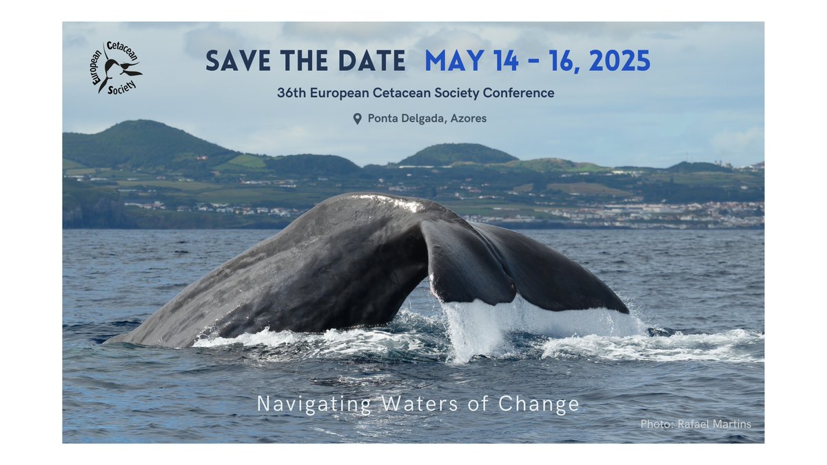 Joan Gonzalvo (@joan_gonzalvo) on Twitter photo 💥Save the dates for 2025! This is going to be an awesome <a href="/EuroCetSoc/">European Cetacean Society</a> Conference 🌊
Hoping to see you all at Ponta Delgada, Azores, Portugal
🐬🦭🐋🐳
- Workshops: 12 & 13th May 2025
- Main conference: 14, 15 and 16th May 2025 💥Save the dates for 2025! This is going to be an awesome <a href="/EuroCetSoc/">European Cetacean Society</a> Conference 🌊
Hoping to see you all at Ponta Delgada, Azores, Portugal
🐬🦭🐋🐳
- Workshops: 12 & 13th May 2025
- Main conference: 14, 15 and 16th May 2025