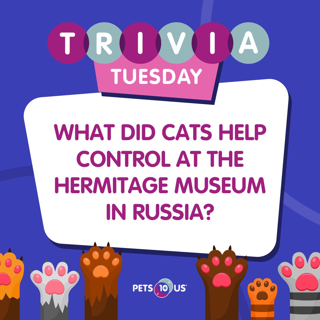 Pets Plus Us (@petsplususins) on Twitter photo #Win a $25 PetSmart gift card! To enter, answer the question, retweet this post and follow <a href="/PetsPlusUsIns/">Pets Plus Us</a> by 11:59PM EST. Open to Canadian & US residents (excluding QC). Ways to enter: bit.ly/3wBFKxO #Win a $25 PetSmart gift card! To enter, answer the question, retweet this post and follow <a href="/PetsPlusUsIns/">Pets Plus Us</a> by 11:59PM EST. Open to Canadian & US residents (excluding QC). Ways to enter: bit.ly/3wBFKxO