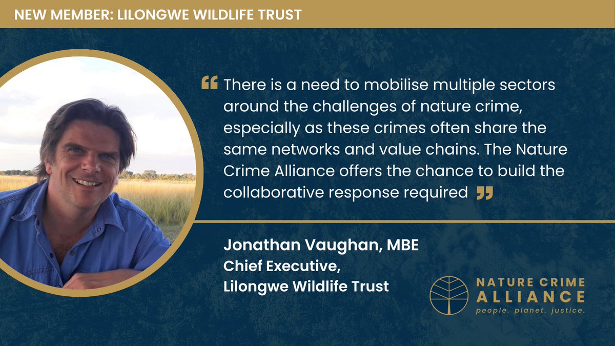 Nature Crime Alliance (@naturecrimeall) on Twitter photo We're pleased to welcome Lilongwe Wildlife Trust as our latest member
<a href="/malawiwildlife/">Lilongwe Wildlife Trust</a> plays a vital role in disrupting illegal wildlife and forest trade in #Malawi, and will be supported in building new partnerships with our members to tackle #naturecrime
naturecrimealliance.org/lilongwe-wildl… We're pleased to welcome Lilongwe Wildlife Trust as our latest member
<a href="/malawiwildlife/">Lilongwe Wildlife Trust</a> plays a vital role in disrupting illegal wildlife and forest trade in #Malawi, and will be supported in building new partnerships with our members to tackle #naturecrime
naturecrimealliance.org/lilongwe-wildl…