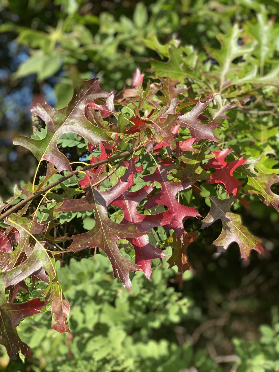 The temperatures may still feel like brat summer out there, but autumn is on the way...&amp; so is our Farm Harvest Festival, this coming Saturday from 1-5pm!

📷 Keep an eye on our instagram for a fun photo contest happening on the big day - hope to see you all here to celebrate!