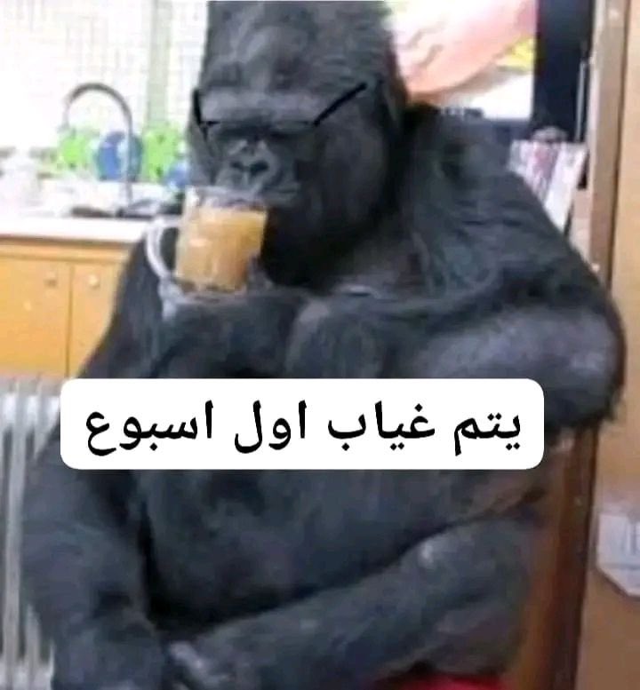 الحنكليس (@oooooooooooo642) on Twitter photo 