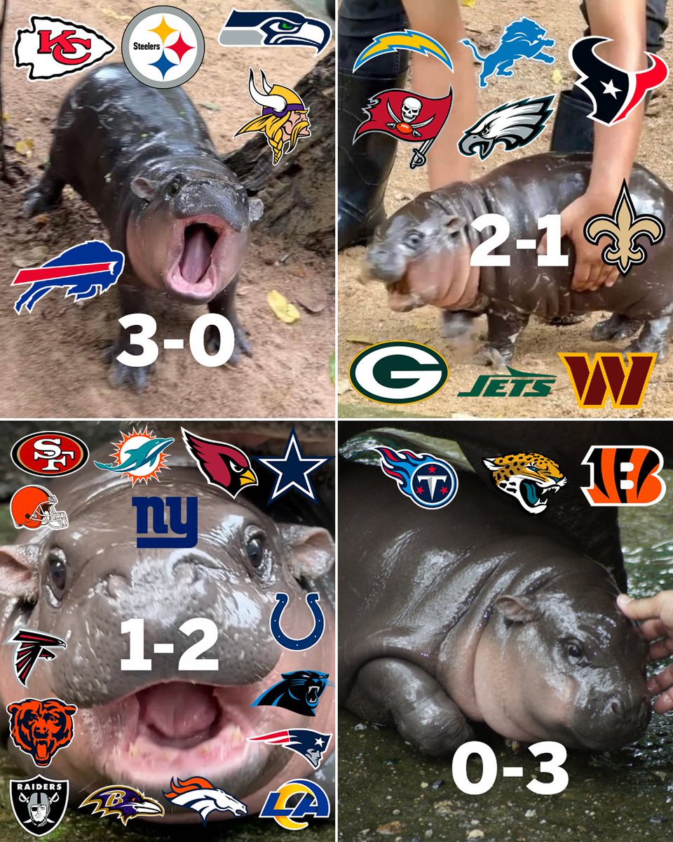 Which Moo Deng is your team? 🤔