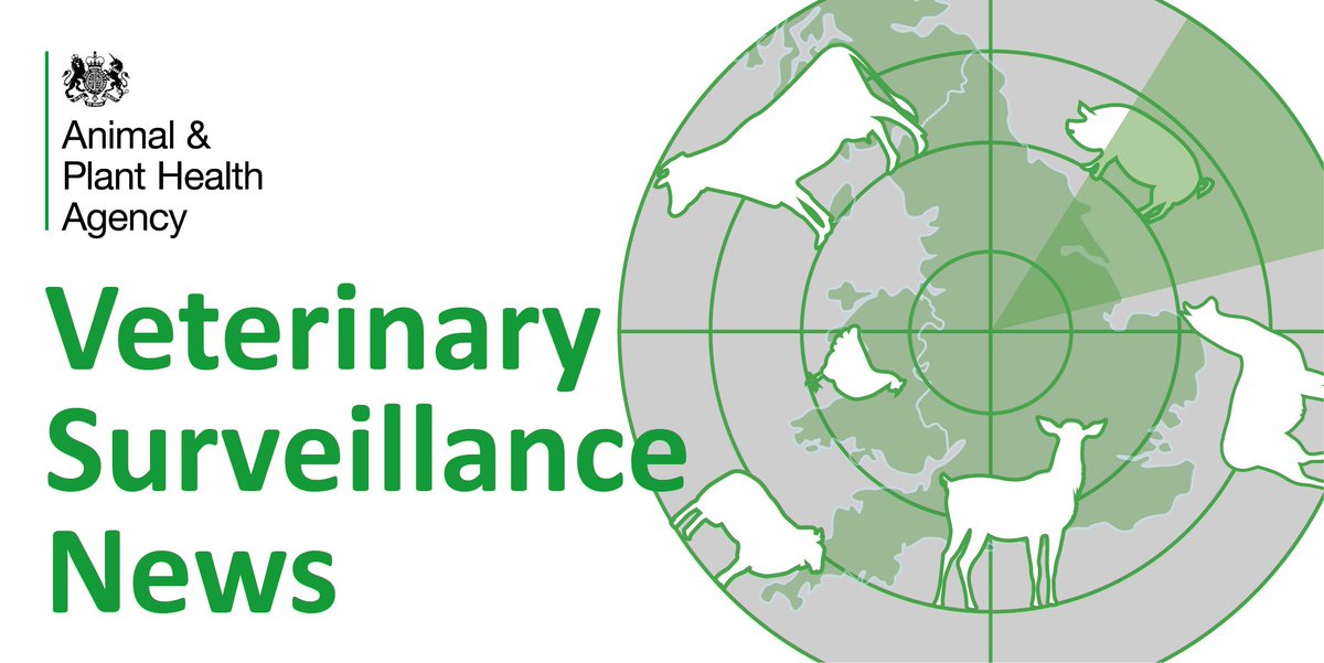 APHA (@aphagovuk) on Twitter photo We've updated our disease surveillance dashboards for #Cattle #Pigs #Sheep and #Chickens. They show disease data from submissions to our GB diagnostic network and can inform keepers about diseases in their area. apha.defra.gov.uk/vet-gateway/su……
<a href="/BritishVets/">BritishVets</a> #Vets #Livestock <a href="/theRCVS/">Royal College of Veterinary Surgeons</a> We've updated our disease surveillance dashboards for #Cattle #Pigs #Sheep and #Chickens. They show disease data from submissions to our GB diagnostic network and can inform keepers about diseases in their area. apha.defra.gov.uk/vet-gateway/su……
<a href="/BritishVets/">BritishVets</a> #Vets #Livestock <a href="/theRCVS/">Royal College of Veterinary Surgeons</a>